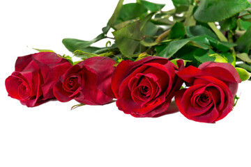 Bouquet of four red roses isolate on a white background.