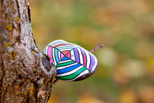 Leaving vibrant painted rocks a.k.a kindness rocks in parks and public places is a new phenomenon and a controversial issue. Seen is a colorful elliptical painted rock left on a tree branch in a park