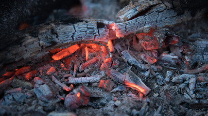 Embers in the fire. Dry, thin branches were added to the fire.