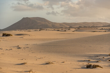 Dunas de Corralejo Natural Park in Fuerteventura, Spain in the fall of 2020