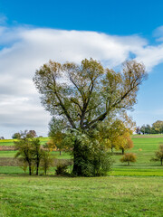 Bunte Bäume im Herbst
