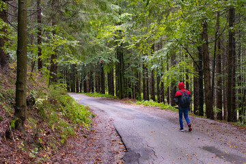 Traveler with backpack walks through the forest