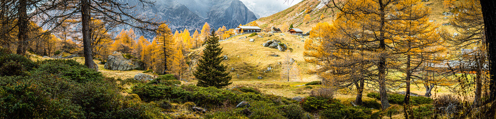 Fototapeta na wymiar Goldener Herbst in den Bergen
