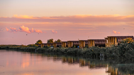 Naklejka premium Danube Delta Landscape