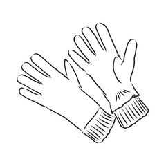 Sketch of winter gloves, vector illustration isoltaed on white background, pair of gloves, gloves, vector sketch illustration