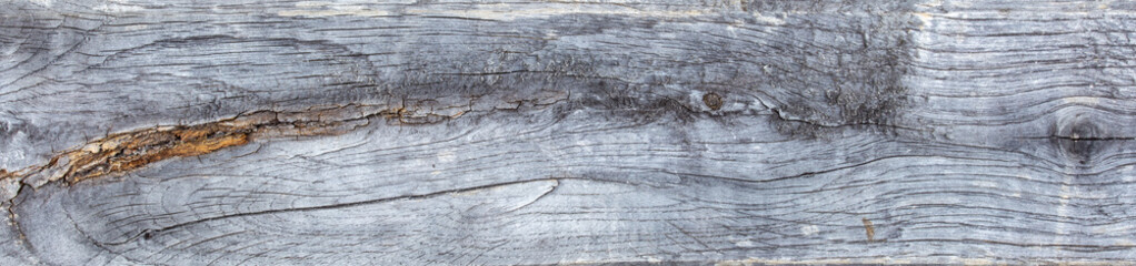 Texture of old wood plank surface background	
