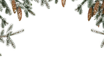 Fototapeta na wymiar Frame of twigs of christmas tree ( spruce ) with cones covered hoarfrost and in snow on a white background with space for text