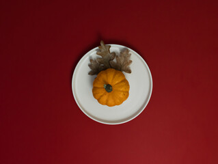 decorative pumpkin with oak leaves in a white plate on a red background, holiday table setting, halloween, thanksgiving, christmas, flat lay