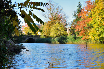 autumn in the park