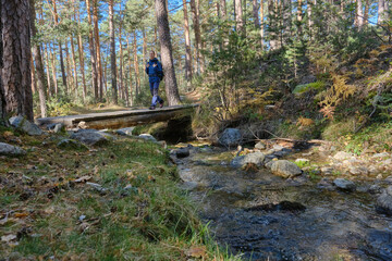 Fototapeta na wymiar Woman hiking through a forest, crossing a wooden bridge