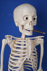 Human skeleton with a cigarette in his mouth on a blue background, the concept of the harm of...