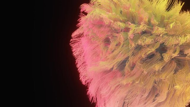 bunte, flauschige Fasern oder Haare, sanfte Bewegung im Wind, 3D isolierter, schwarzer Hintergrund