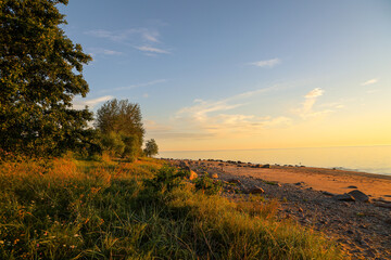 Trees and rocky beach of Baltic sea in Latvia - obrazy, fototapety, plakaty