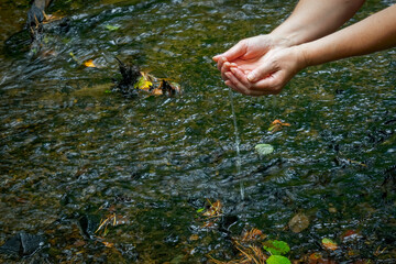 Female hands scoop up water in the palm of a mountain stream close-up.