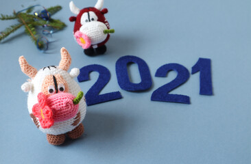  Related New year's symbols - Jolly bulls - with the numbers 2021 and a green spruce branch on a blue background, space for text