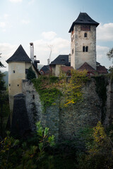 Fototapeta na wymiar Burg Oberranna im Spitzer Graben