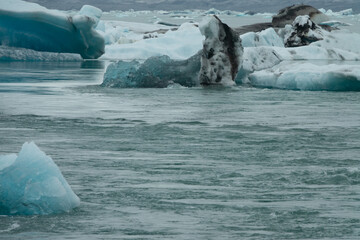 Islande, J&ouml;kuls&aacute;rl&oacute;n Glacier Lagoon