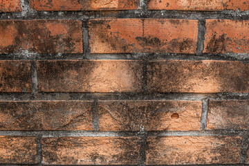 old brick wall