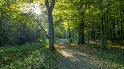 Fototapeta premium Hannover Seelhorst