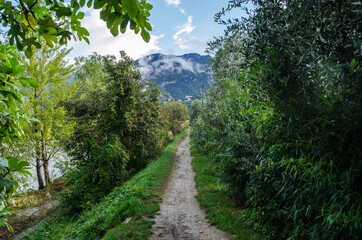 ścieżka  © wedrownik52