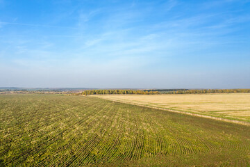 Fototapeta na wymiar Aerial view of harvested agricultural fields on autumn day