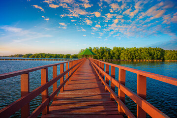 The forest mangrove with wooden walkway bridge,Red bridge and bamboo line,Tropical Climate, Reflection, Summer, Asia, Thailand,Bridge - Built Structure, Footbridge, Forest, Tropical Climate, Woodland