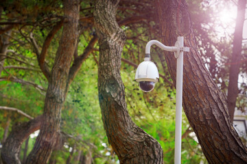 Security round camera in park with blur background