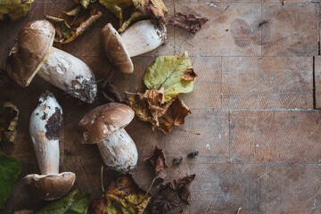 quatre champignons comestibles avec des feuilles mortes sur une planche de cuisine