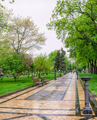walking paths in the park