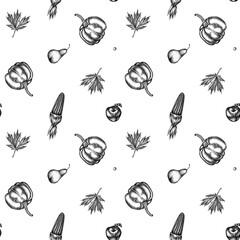 Seamless pattern with black and white pumpkin, pears, corn, apples, rowan, maple