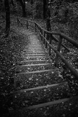 Walkways with wooden handrails in the park. Black and white photo, noise and grain effect