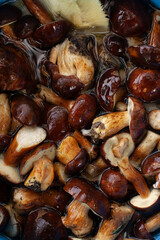 Peeled Polish Mushroom in a Bucket