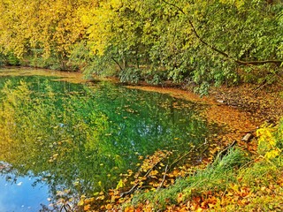 Un étang en automne