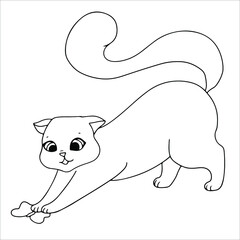 cute and funny kittens. The fluffy cat is resting or indulging. Hand drawn pet pet. cat doodles. vector illustration isolated on white background. antistress painting