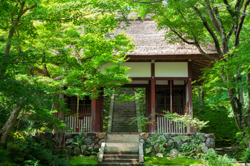 常寂光寺の仁王門