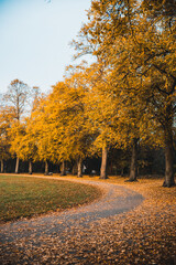 Autumn Scene in the Park, United Kingdom