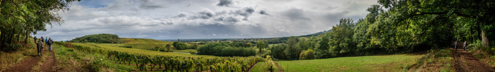 Fototapeta na wymiar Randonnée dans les vignobles d'Alsace
