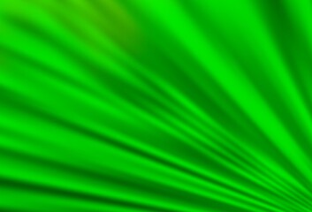 Light Green vector background with straight lines.