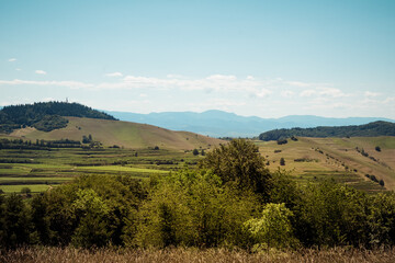 Fototapeta premium View of green trees and bushes in front of vineyard terraces at Kaiserstuhl, Germany. Mountains of the Black Forest are in the background.