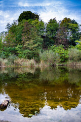 Beautiful autumn deciduous forest in the afternoon