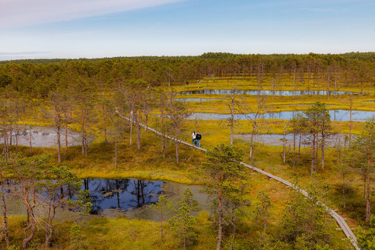 "Viru raba" bog in Estonia, Lahemaa National Park