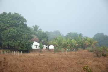 Fototapeta premium Indian village, the silence of the morning. Goa