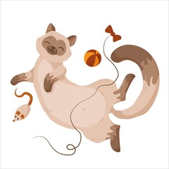 cute and fluffy kitten, pet, sleeping siamese cat next to breed toys, vector illustration isolated on white background