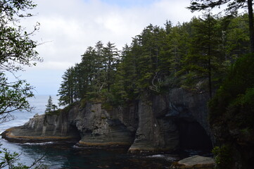 Camping and hiking in the trippy enchanting forests of the Olympic National Park in Washington State, USA