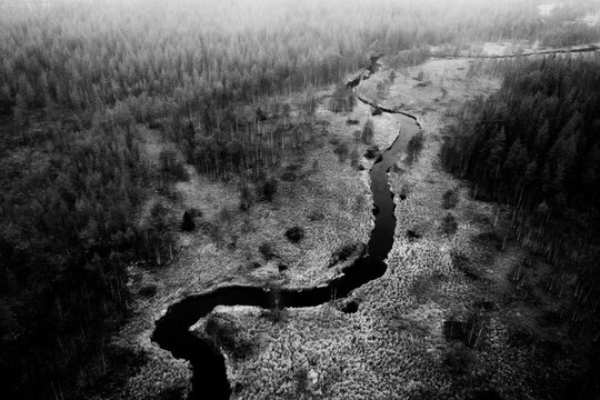 River flooding in wetland forest 
