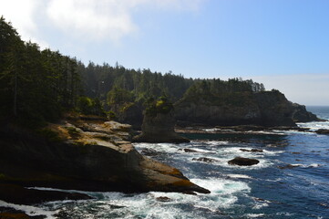 Camping and hiking in the trippy enchanting forests of the Olympic National Park in Washington State, USA