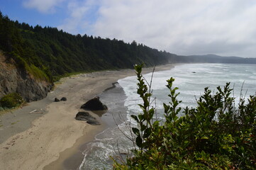 Hiking and camping in the enchanting forest around Shi Shi Beach on the Olympic Peninsula of Washington State, USA