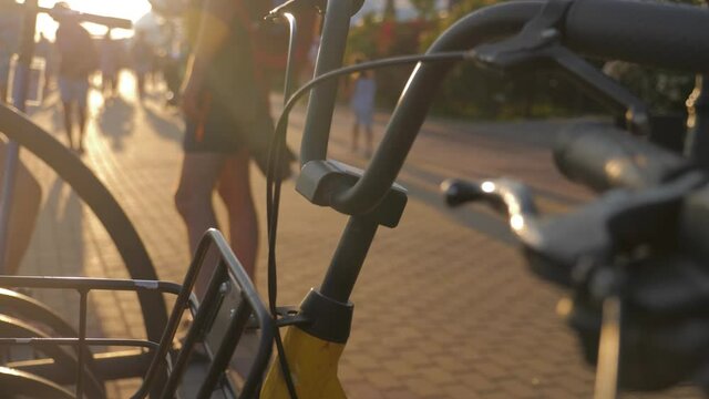 Bikes in a row at a rental station or a shop.