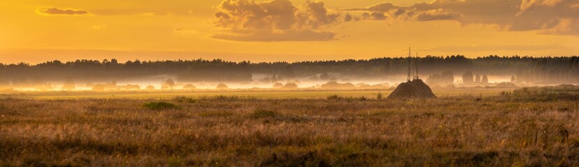 Fototapeta na wymiar Foggy panorama of meadows at sunrise, the buffer zone of the Bialowieski National Park