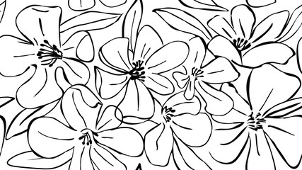 Vector seamless floral pattern. Black and white flowers. Hand painting illustration for surface design